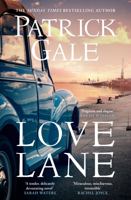 Love Lane : A searing portrayal of escape and the power of love, home and a family-9781472257468