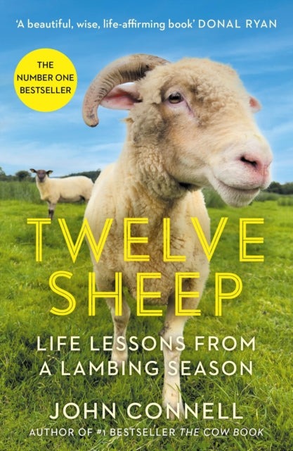 Twelve Sheep : Life lessons from a lambing season-9781805461920