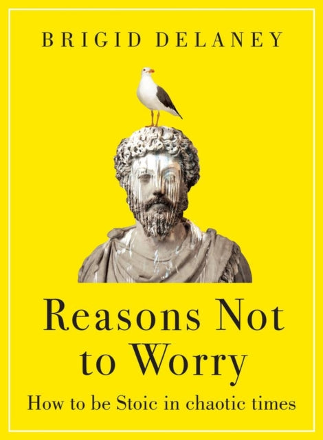Reasons Not to Worry : How to be Stoic in chaotic times-9780349436302