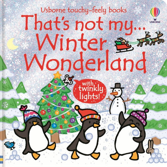 That's not my... Winter Wonderland-9781836042167