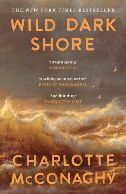 Wild Dark Shore-9781837265923