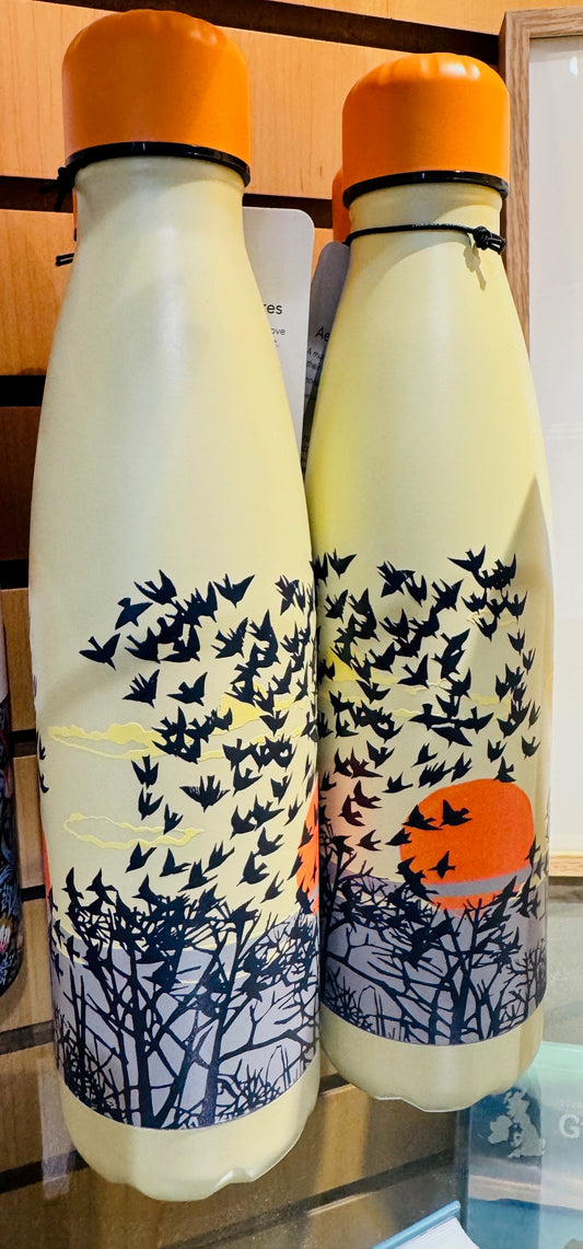 Drinks Bottle